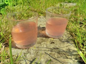 Verres d'eau de rhubarbe