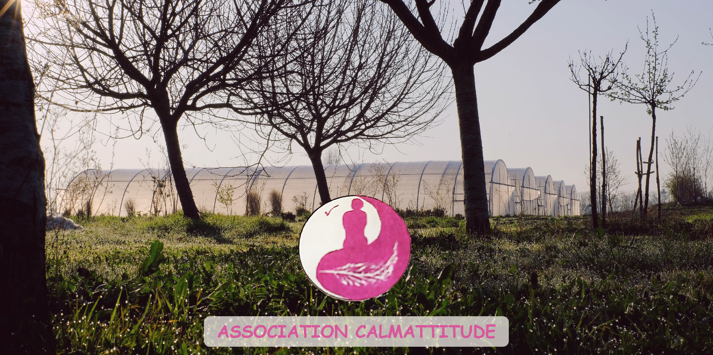 logo calmattitude